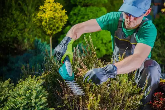 landscaping services Kent City